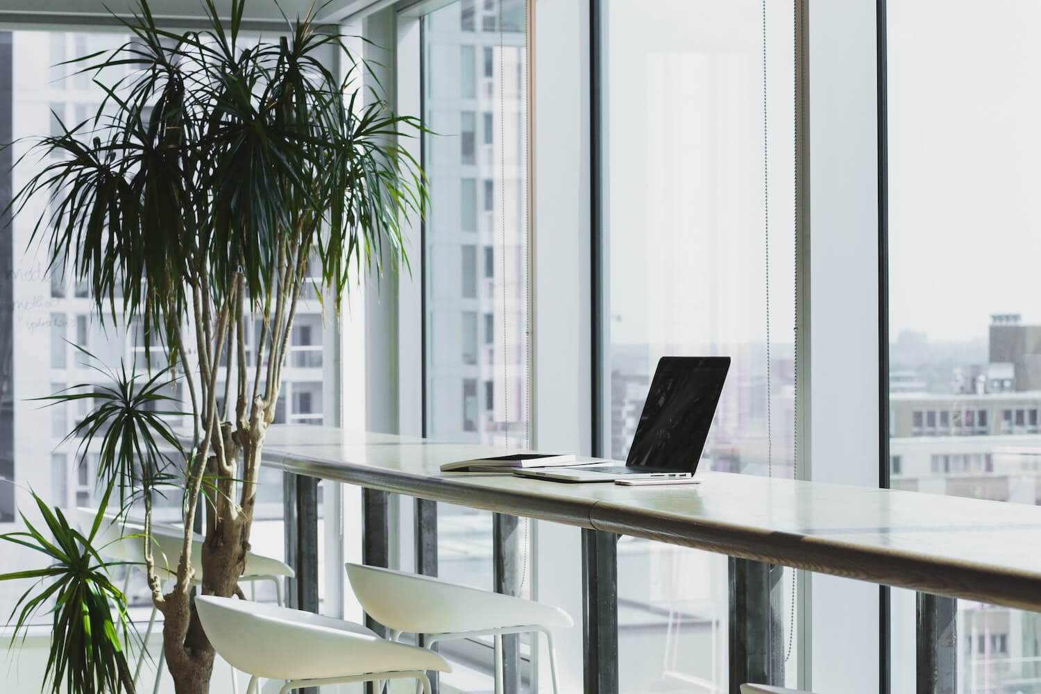 Plants enhance productivity in homes and offices